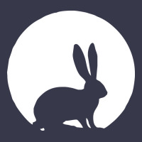 Bunny And Full Moon Funny Long Sleeve Tee | Teevron