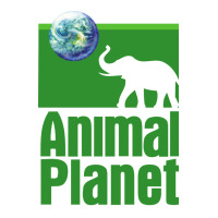 ANIMAL PLANET | Teevron