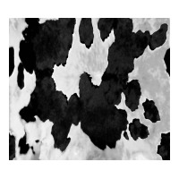 Black White Cowhide Tumbler | Teevron