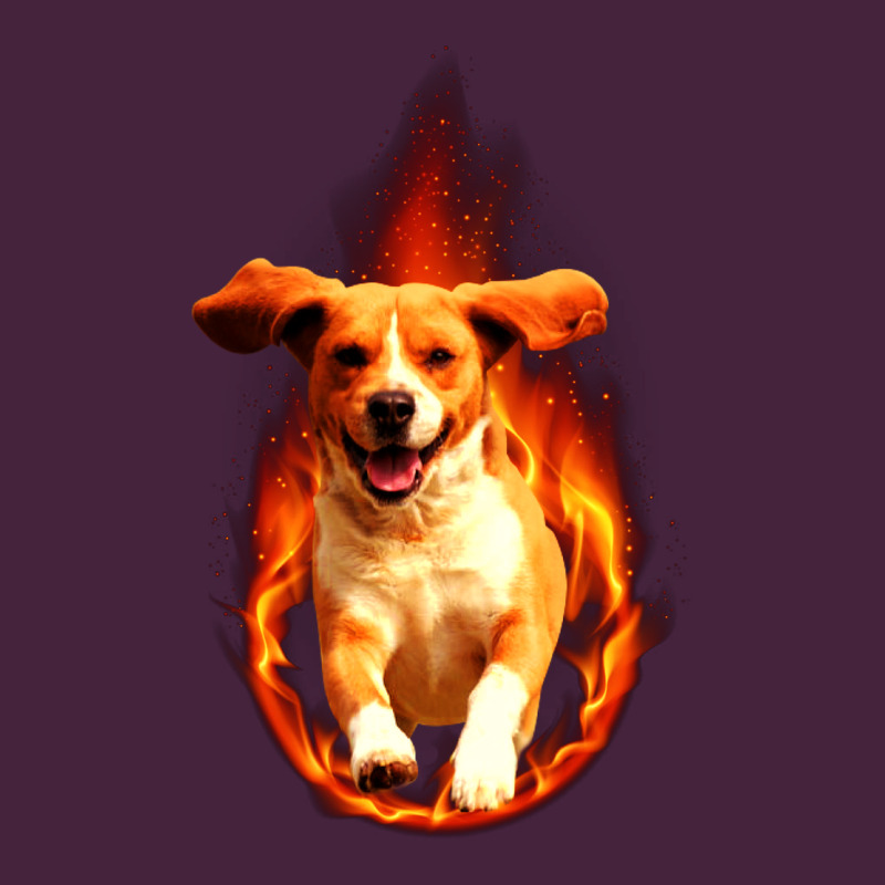 Dog In Fire Long Sleeve Tee by artisFamous | Teevron