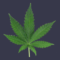 Weed Leaf Long Sleeve Tee | Teevron