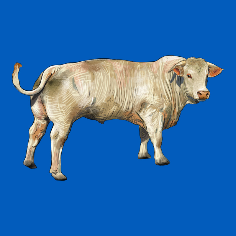 Charolais Bull Urban Hoodie by RanaPortraitStore | Teevron
