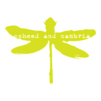coheed and cambria | Teevron