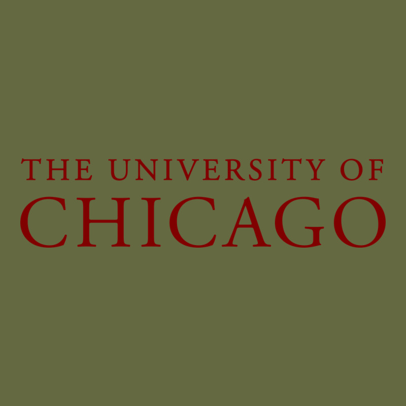 College Of Chicago Long Sleeve Tee by artisFamous | Teevron