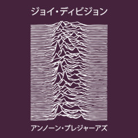 Joy Division Pleasures  Japanese Long Sleeve Tee | Teevron
