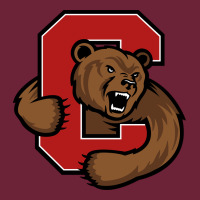 Cornell Big Red Long Sleeve Tee | Teevron