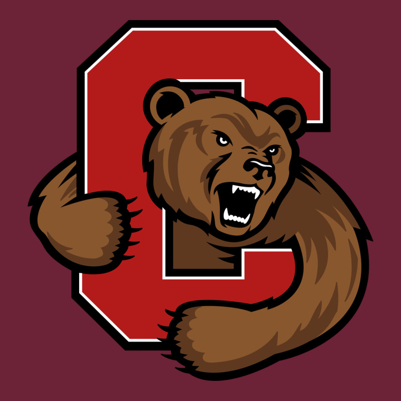 Cornell Big Red Long Sleeve Tee by artisFamous | Teevron