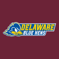 Delaware Fightin' Blue Hens Long Sleeve Tee | Teevron