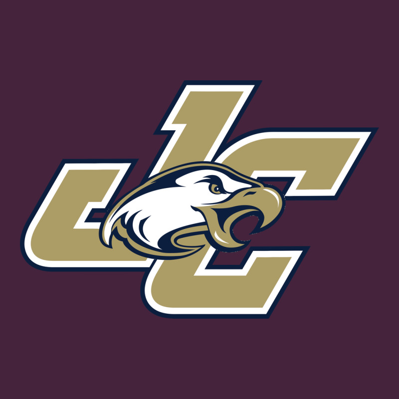 Juniata College Long Sleeve Tee by artisFamous | Teevron