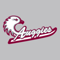 Augsburg University Long Sleeve Tee | Teevron