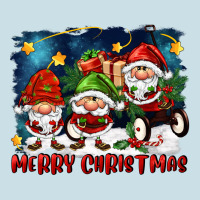 Merry Christmas Gnomies Wagon Ladies Tee | Teevron