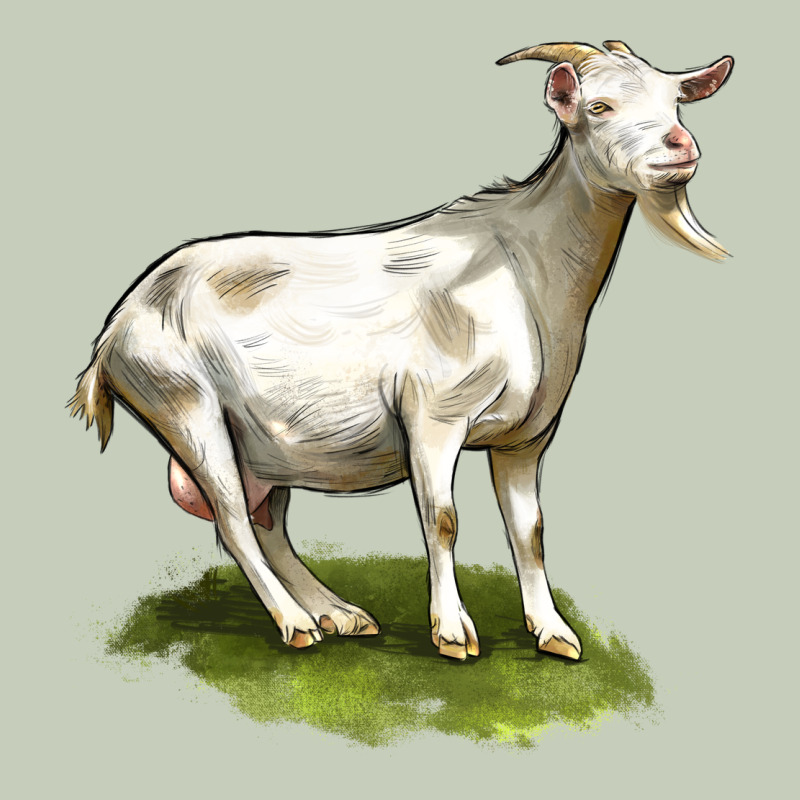 Cashmere Goat Long Sleeve Tee by LillyAllenDesigns | Teevron
