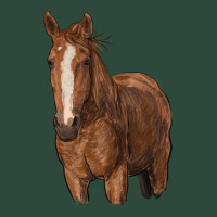 Brown Horse Zipper Hoodie | Teevron