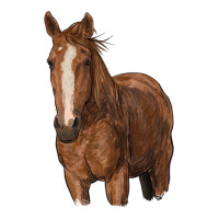 brown horse | Teevron