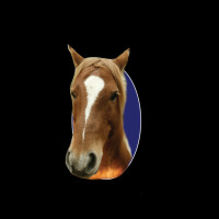I Met Lil Sebastian Premium Tee | Teevron