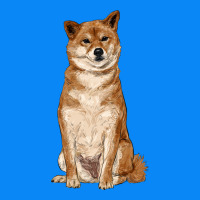 Shiba Inu Zipper Hoodie | Teevron