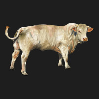 Charolais Bull Classic Tee | Teevron
