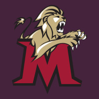 Lions, Molloy College Long Sleeve Tee | Teevron