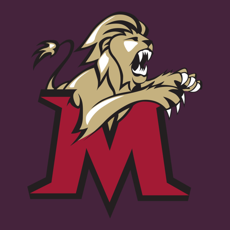 Lions, Molloy College Long Sleeve Tee by linhVisuals | Teevron