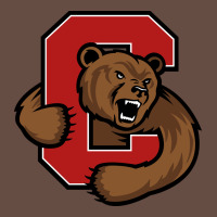 The Cornell Big Red Long Sleeve Tee | Teevron
