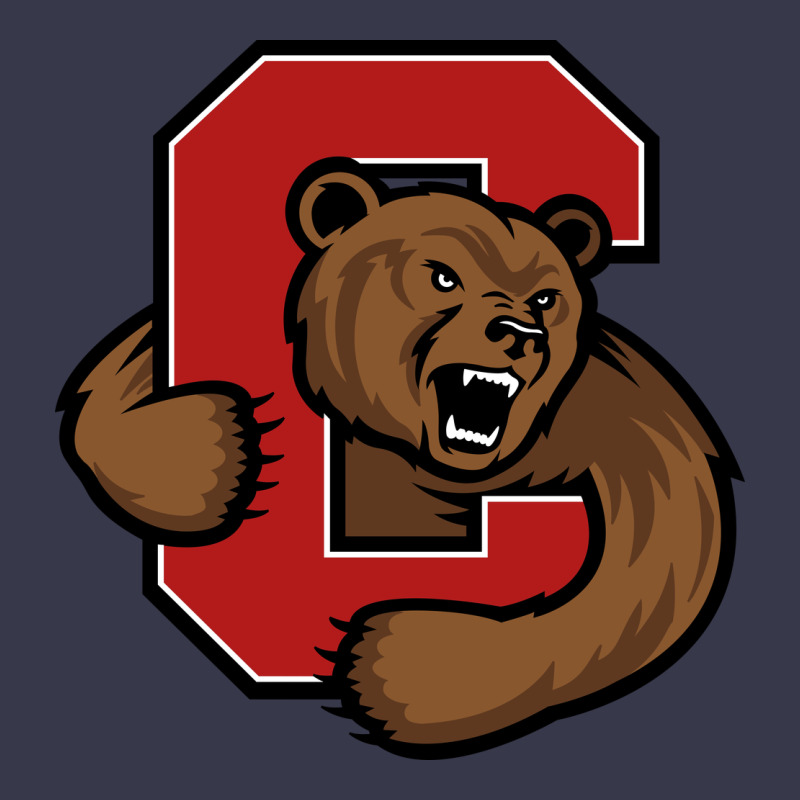 The Cornell Big Red Long Sleeve Tee by linhVisuals | Teevron