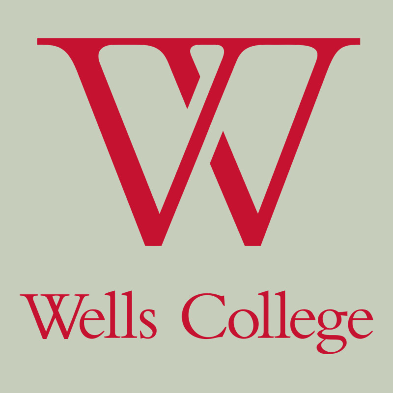 Wells College Long Sleeve Tee by linhVisuals | Teevron