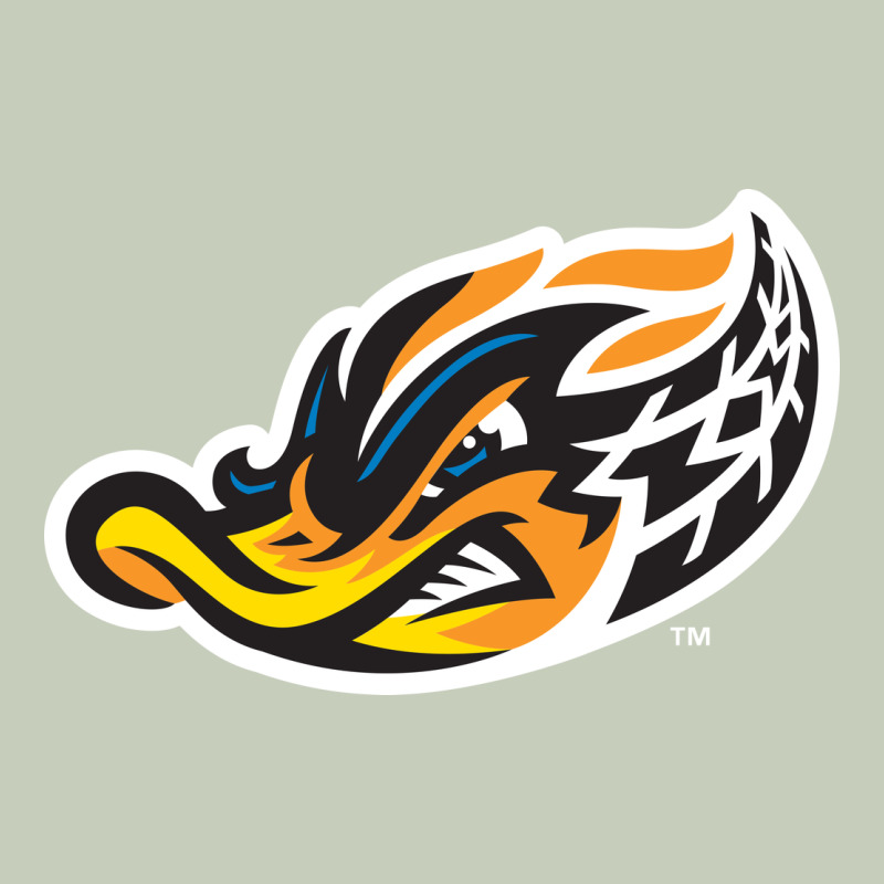 Akron-rubber-ducks Long Sleeve Tee by linhVisuals | Teevron