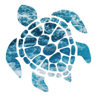 ocean sea turtle | Teevron