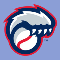 New Hampshire Fisher Cats Long Sleeve Tee | Teevron