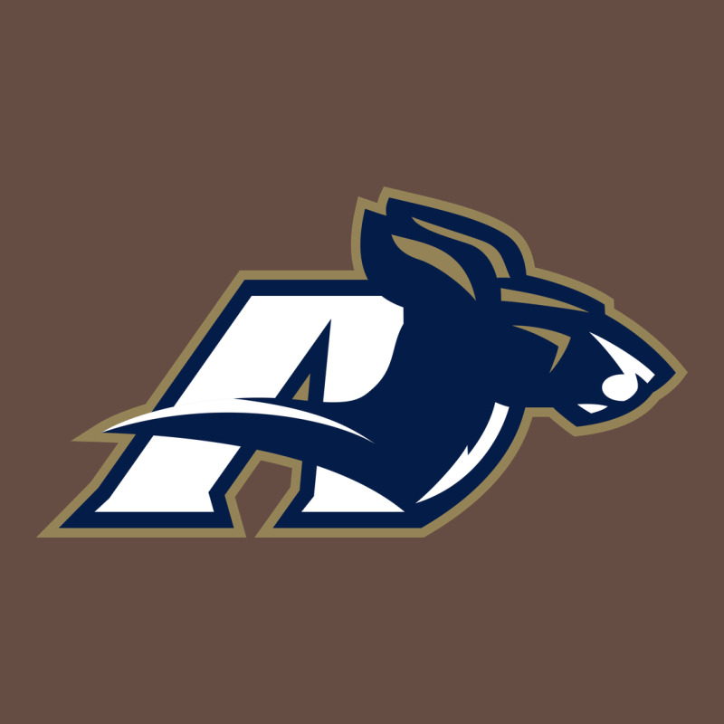 Akron University Zips Long Sleeve Tee by linhVisuals | Teevron