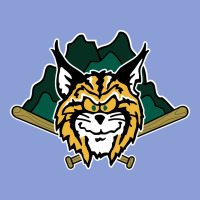 Lynchburg Hillcats Baseball Long Sleeve Tee | Teevron