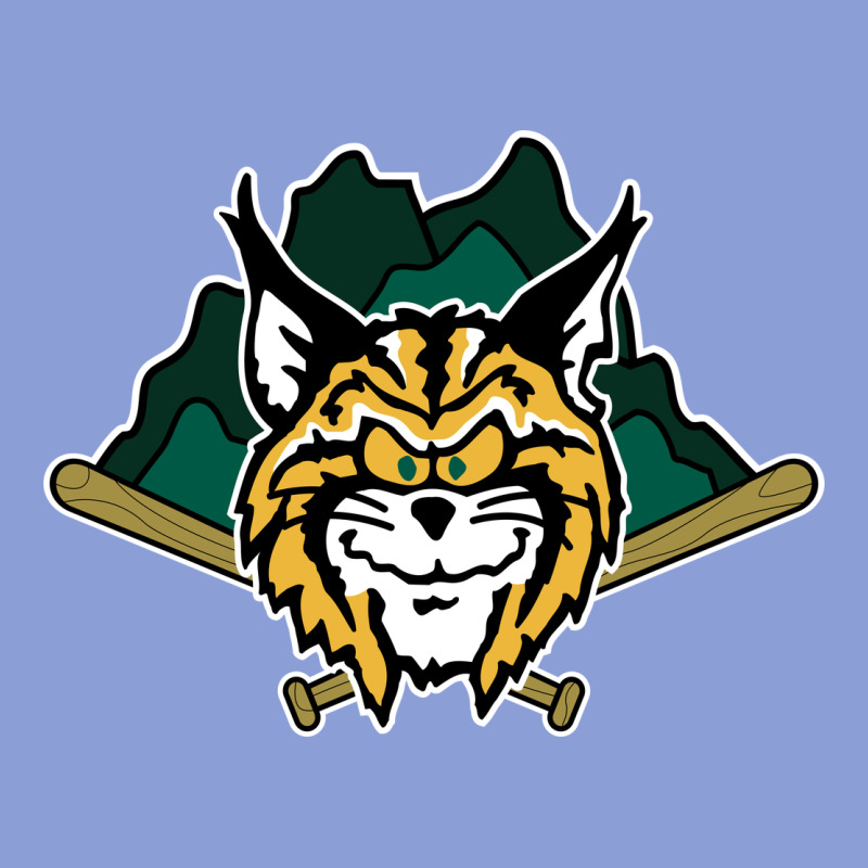 Lynchburg Hillcats Baseball Long Sleeve Tee by linhVisuals | Teevron
