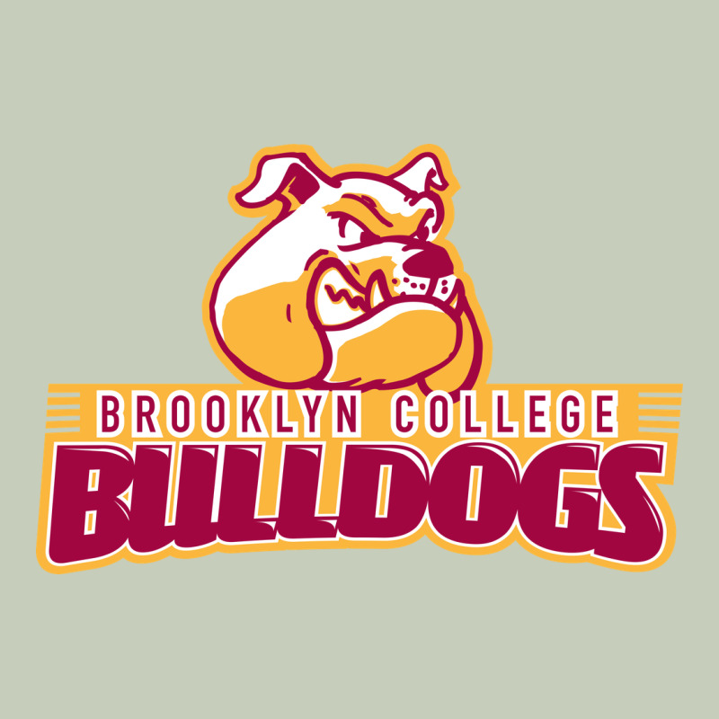 Brooklyn College Long Sleeve Tee by linhVisuals | Teevron