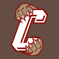 Charleston Cougars Long Sleeve Tee | Teevron