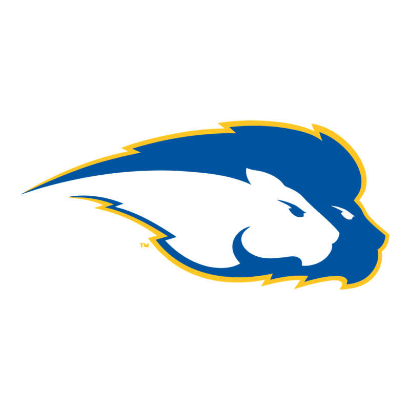 Hofstra Pride Long Sleeve Tee by linhVisuals | Teevron