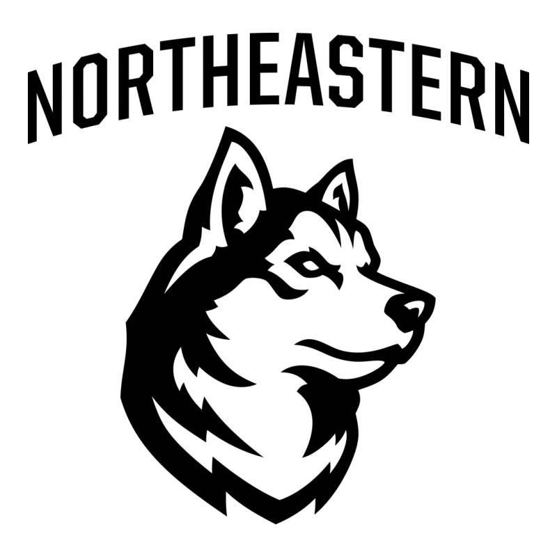Northeastern Huskies Long Sleeve Tee by linhVisuals | Teevron