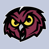 Temple Owls Long Sleeve Tee | Teevron