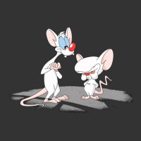 newanimaniacs pinky and the brain | Teevron