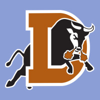 Durham-bulls Long Sleeve Tee | Teevron