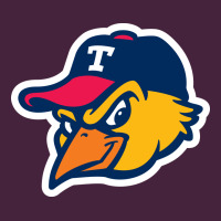 Toledo-mud-hens Long Sleeve Tee | Teevron