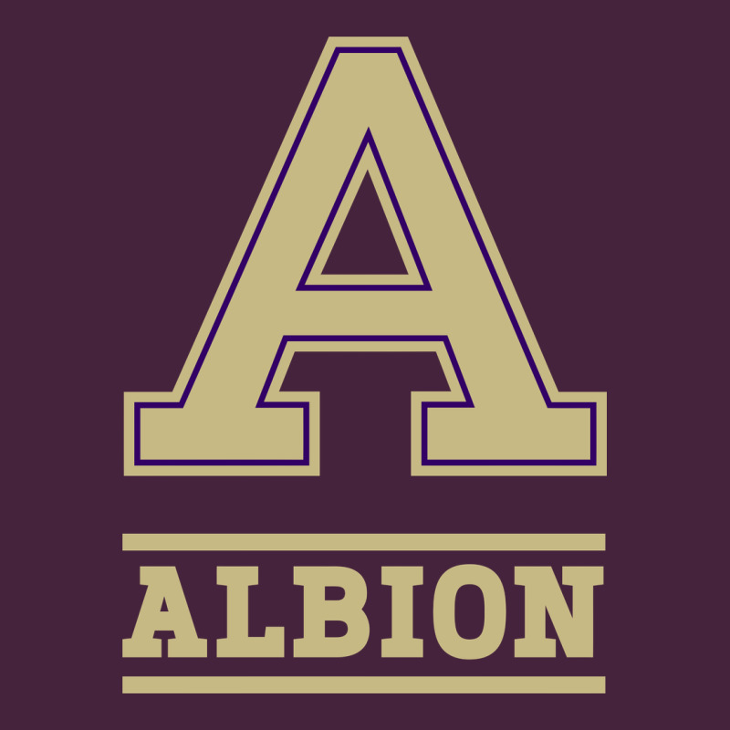 Albion College Athleticpurple Long Sleeve Tee by linhVisuals | Teevron