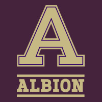 Albion College Athleticpurple Long Sleeve Tee | Teevron