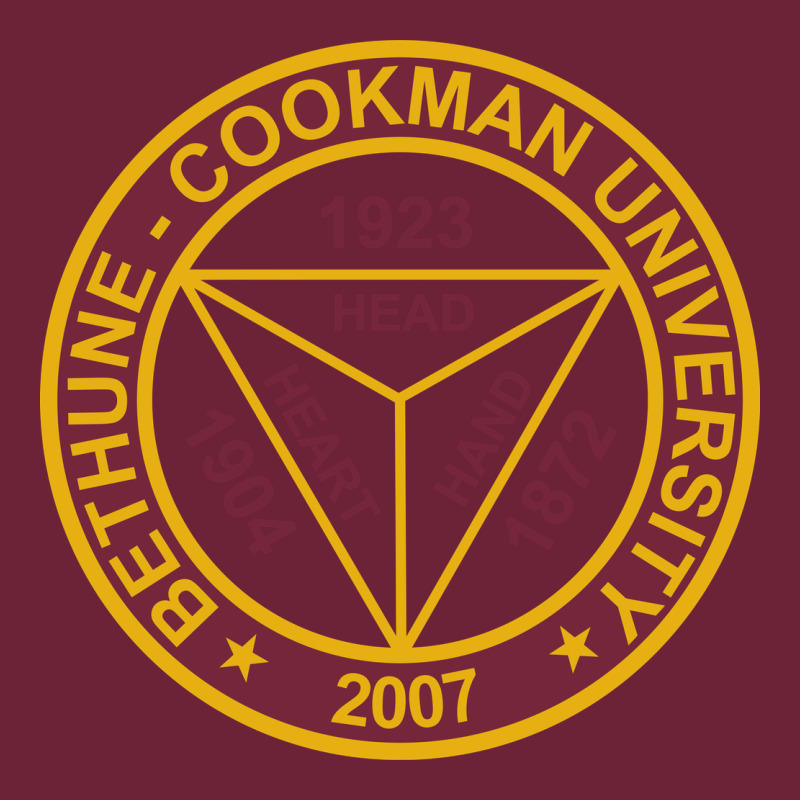 Bethune Cookman Long Sleeve Tee by linhVisuals | Teevron