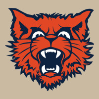 Evanston Township High School Long Sleeve Tee | Teevron