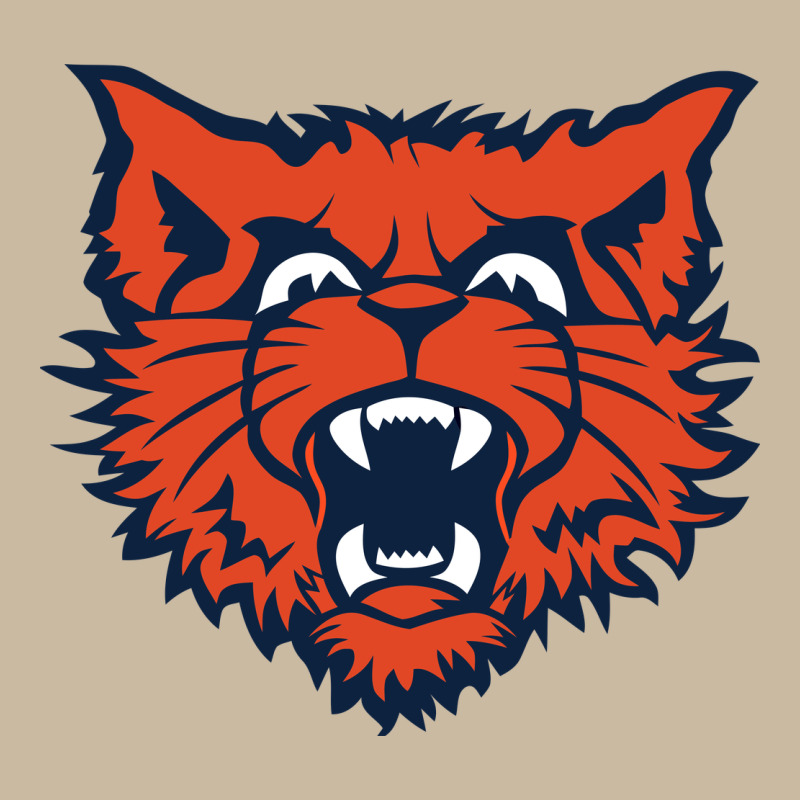 Evanston Township High School Long Sleeve Tee by linhVisuals | Teevron