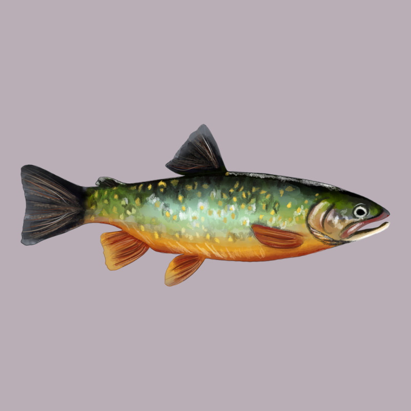 Greenback Cutthroat Trout Fish Vintage Tee by RanaPortraitStore | Teevron