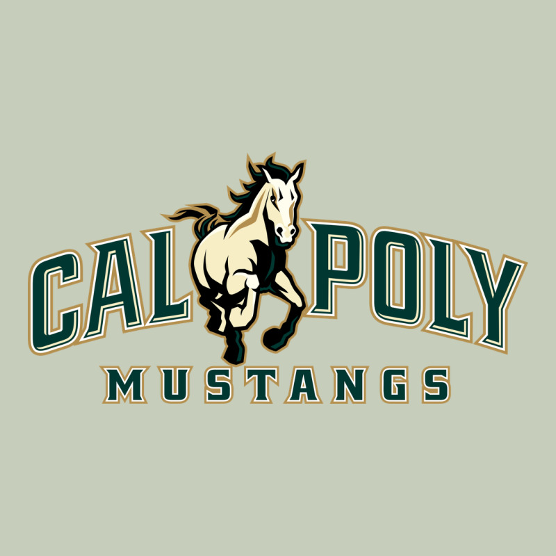 Cal Poly Long Sleeve Tee by linhVisuals | Teevron