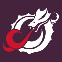 Msum Dragons, Gear Long Sleeve Tee | Teevron