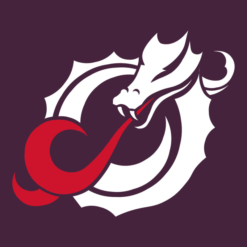 Msum Dragons, Gear Long Sleeve Tee by linhVisuals | Teevron