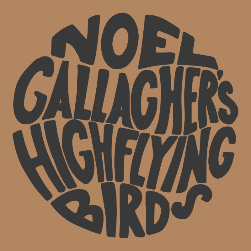 Noel Gallagher's High Flying Birds Classic Long Sleeve Tee by linhVisuals | Teevron